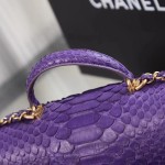 CHANEL model 24313mini cover bag
