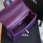 CHANEL model 24313mini cover bag