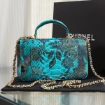 CHANEL model 24313mini cover bag