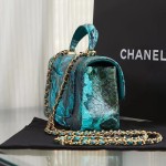 CHANEL model 24313mini cover bag