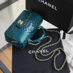 CHANEL model 24313mini cover bag