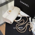 CHANEL model 24313mini cover bag