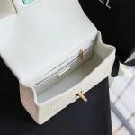 CHANEL model 24313mini cover bag