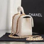 CHANEL model 24313mini cover bag