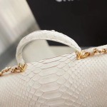 CHANEL model 24313mini cover bag