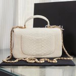 CHANEL model 24313mini cover bag