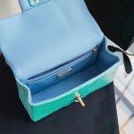 CHANEL model 24313mini cover bag