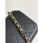 CHANEL 23S Spring/Summer Soap Box Dinner Bag