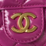 CHANEL saddle bag model number AS3867