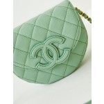 CHANEL saddle bag model number AS3867