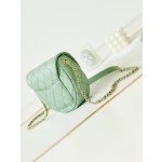 CHANEL saddle bag model number AS3867