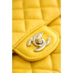 𝐂𝐇𝐀𝐍𝐄𝐋 Classic Flap series small size