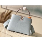 𝐋𝐎𝐔𝐈𝐒𝐕𝐔𝐈𝐓𝐓𝐎𝐍 N80741 Haze Blue with Exotic Snake Skin Gold Button