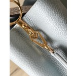 𝐋𝐎𝐔𝐈𝐒𝐕𝐔𝐈𝐓𝐓𝐎𝐍 N80741 Haze Blue with Exotic Snake Skin Gold Button