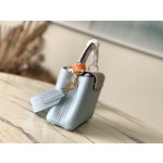 𝐋𝐎𝐔𝐈𝐒𝐕𝐔𝐈𝐓𝐓𝐎𝐍 N80931 Haze Blue with Exotic Snake Skin Gold Button