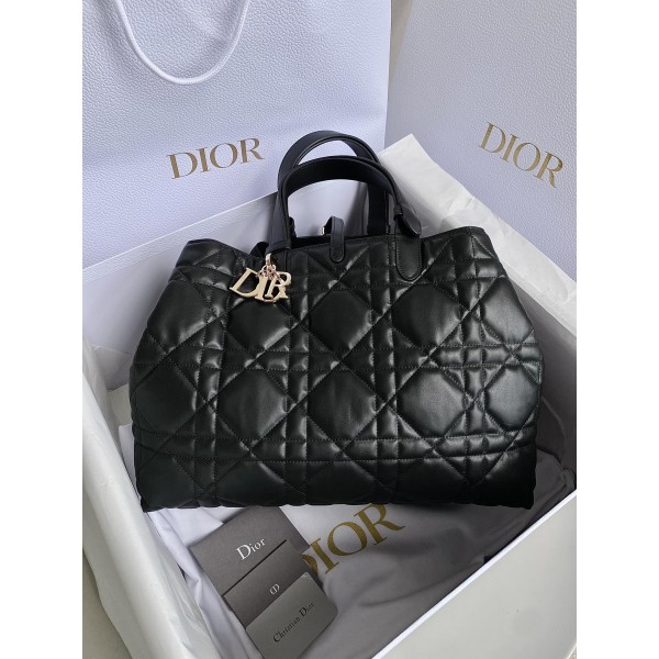 DIOR Toujours travel bag 9233