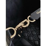 DIOR Toujours travel bag 9233