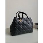 DIOR Toujours travel bag 9233