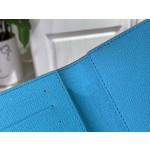 Christmas passport holder