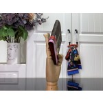 Christmas passport holder