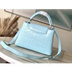LOUIS VUITTON M48865 Blue Crocodile Silver Button