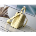 LOUIS VUITTON M48865 Yellow Crocodile Silver Buckle