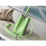 𝐋𝐎𝐔𝐈𝐒𝐕𝐔𝐈𝐓𝐓𝐎𝐍 M48865 green crocodile pattern silver buckle