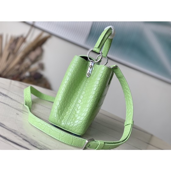 LOUIS VUITTON M48865 Green Crocodile Silver Button