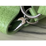LOUIS VUITTON M48865 Green Crocodile Silver Button