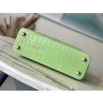 LOUIS VUITTON M48865 Green Crocodile Silver Button