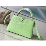 LOUIS VUITTON M48865 Green Crocodile Silver Button