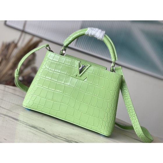 LOUIS VUITTON M48865 Green Crocodile Silver Button