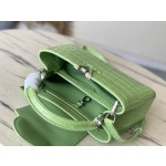 LOUIS VUITTON M48865 Green Crocodile Silver Button