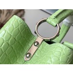 LOUIS VUITTON M48865 Green Crocodile Silver Button