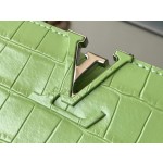 LOUIS VUITTON M48865 Green Crocodile Silver Button