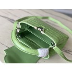 𝐋𝐎𝐔𝐈𝐒𝐕𝐔𝐈𝐓𝐓𝐎𝐍 M48865 green crocodile pattern silver buckle