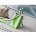 𝐋𝐎𝐔𝐈𝐒𝐕𝐔𝐈𝐓𝐓𝐎𝐍 M48865 green crocodile pattern silver buckle