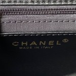 CHANEL 23B New CF AS4288 Panda Vintage