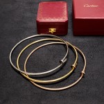 Cartier necklace