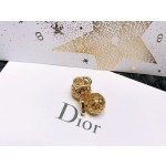 Dior earrings