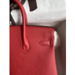 Birkin 25cm Epsom Leather National Flag Red Gold Buckle