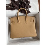Birkin 25cm Epsom leather Biscuit color 🍪 Gold buckle