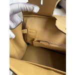 Birkin 25cm Epsom leather Biscuit color 🍪 Gold buckle