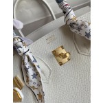 Birkin 25cm Epsom Leather Pure White Gold Buckle