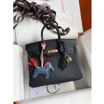 Birkin 25cm Epsom Leather Black Gold Buckle