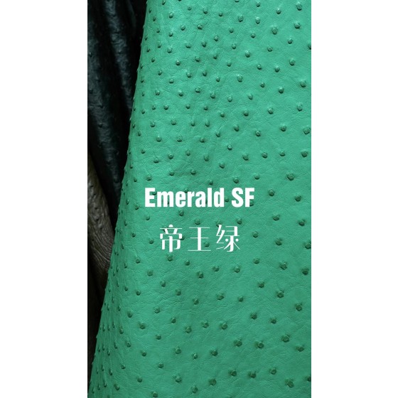 Hermes production of exclusive leather contact customer service custom South African wild ostrich skin:06 Imperial Green