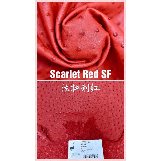 Hermes production of exclusive leather contact customer service custom South African wild ostrich skin:95 Ferrari Red