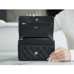 CHANEL 𝑾𝒐𝒄 Hairy Bag Entry Classic 𝑾𝒐𝒄𝒄 (Magnetic Closure) Black Bull Silver