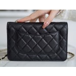 Chanel 𝑾𝒐𝒄 hair bag 𝟮𝟭/𝟮𝟮 autumn and winter new gold chain caviar grain embossed calfskin