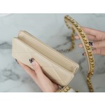 CHANEL 19Bag 𝑾𝒐𝒄 22C silver buckle light apricot